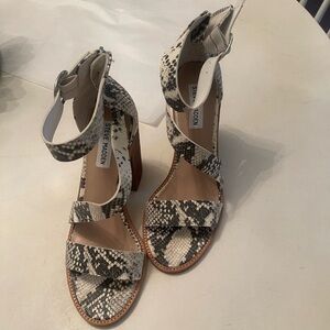 Steve Madden snakeskin 4”block heel sandals. New!!